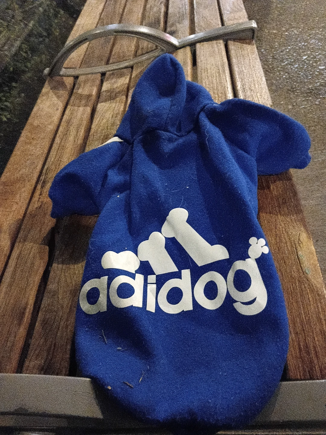Blue Hoodie Dog Sweater