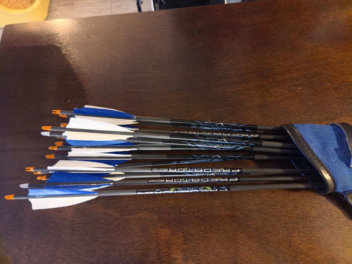 Hoyt Archery Bow with Predator Arrows - photo 2