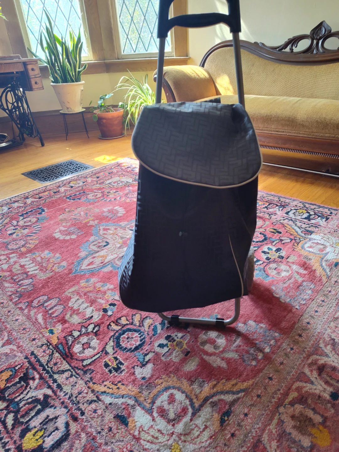 Shopping Cart with patterned bag - photo 4