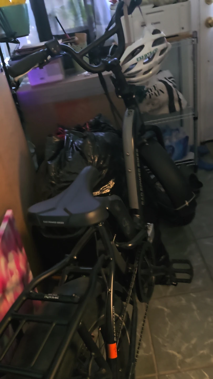 Rad Power Bikes Electric Bike