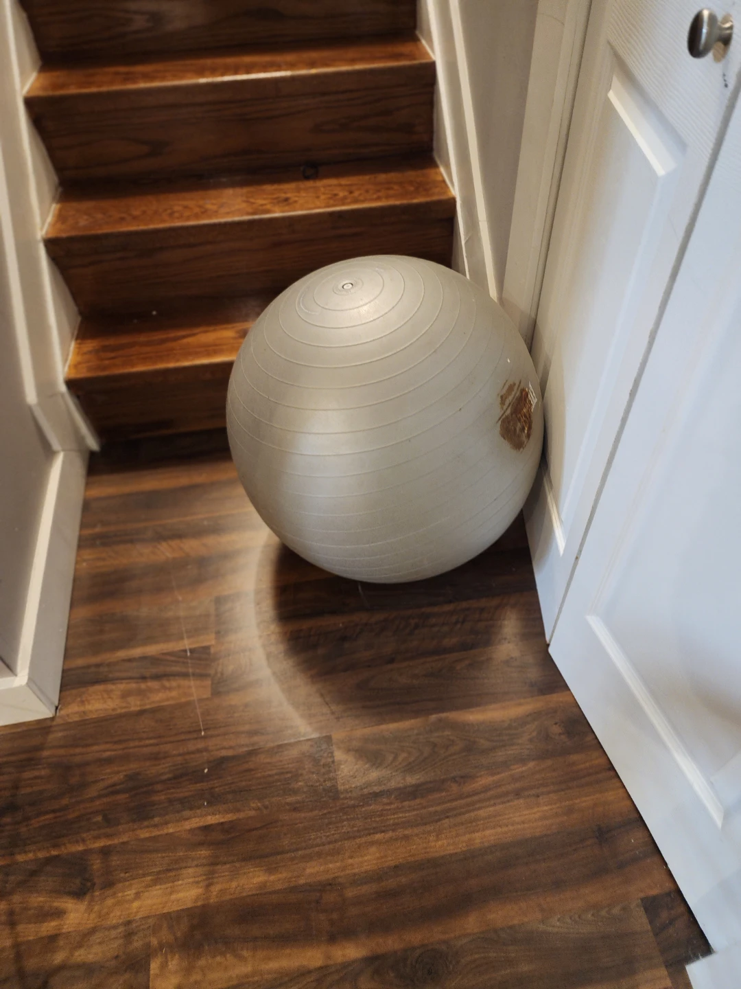 Grey Exercise Ball - photo 3