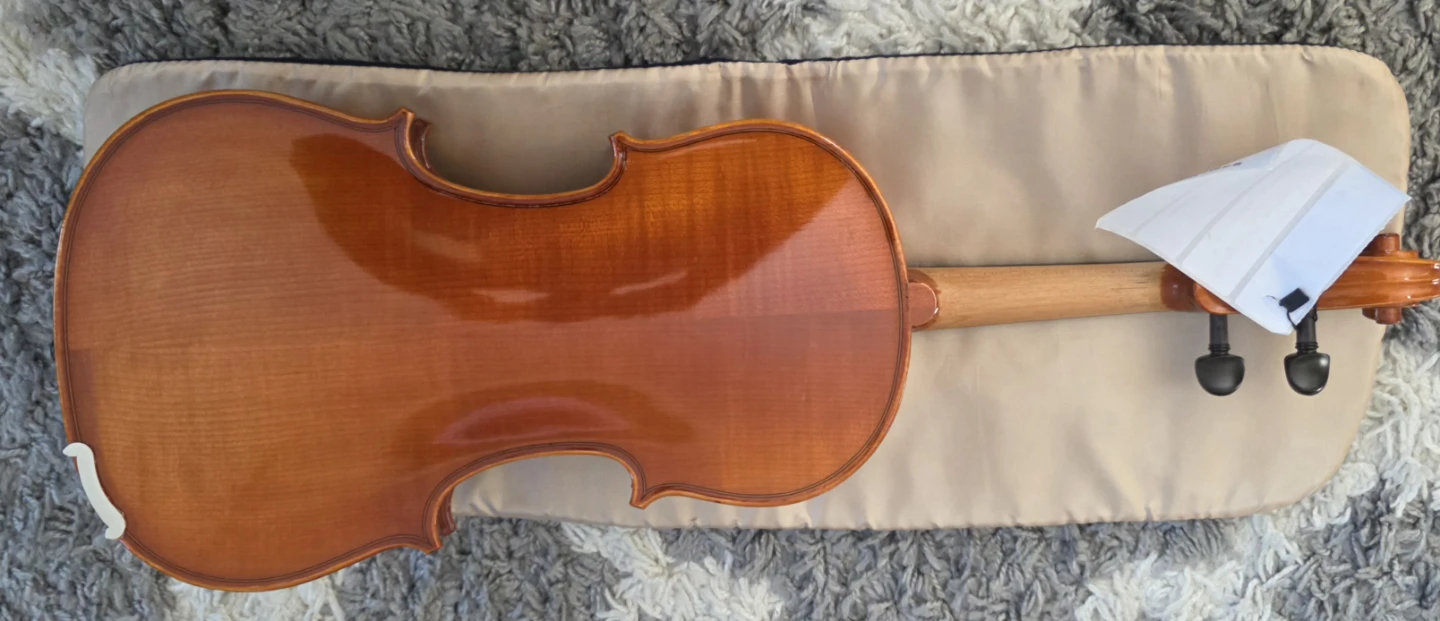 Eastman VL100 4/4 Violen with Case and Bow