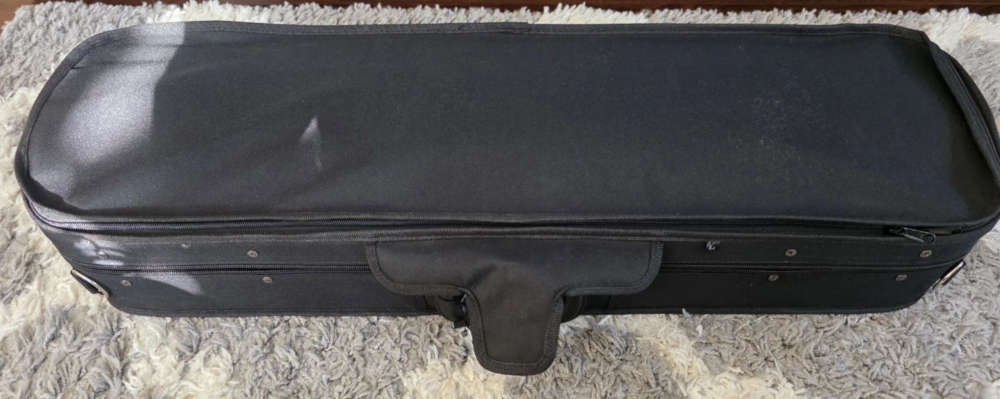 Eastman VL100 4/4 Violen with Case and Bow - photo 2