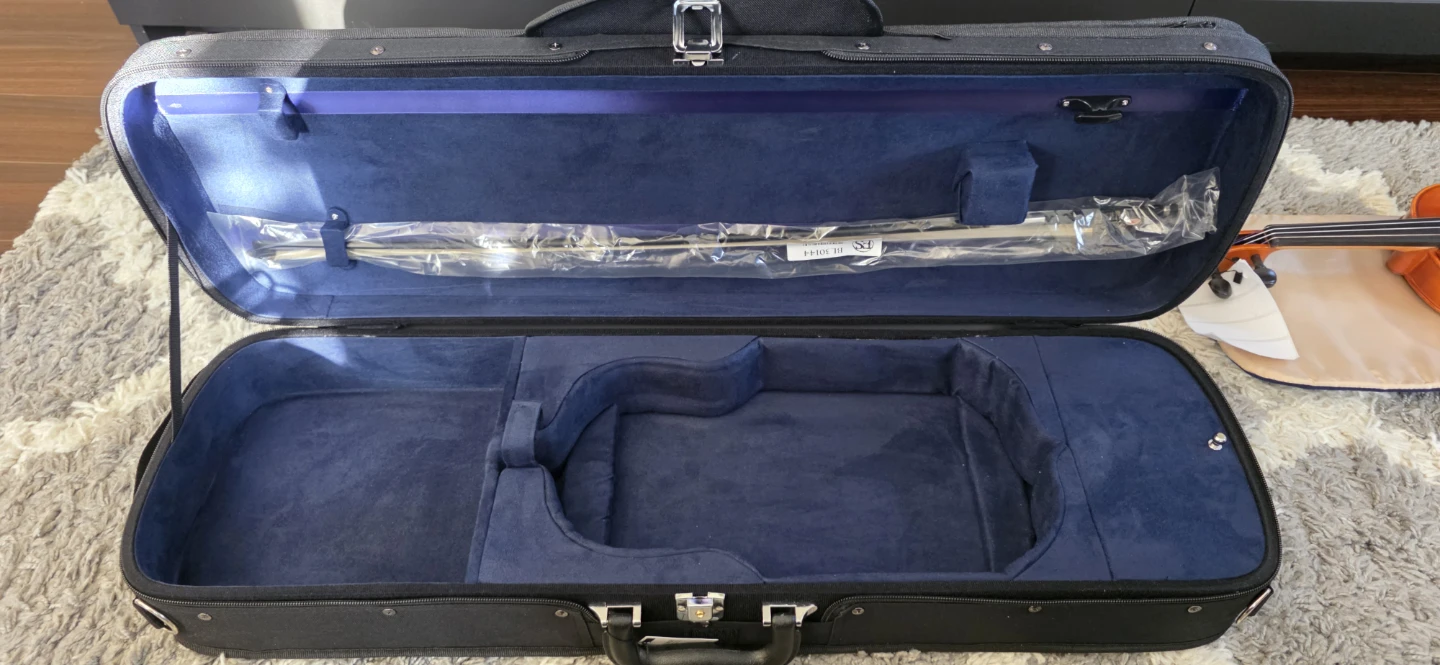 Eastman VL100 4/4 Violen with Case and Bow - photo 3