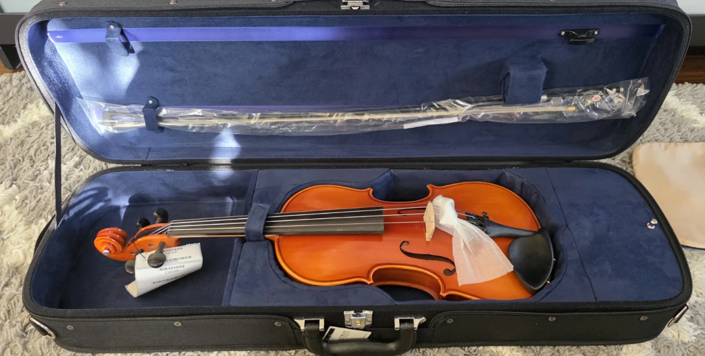 Eastman VL100 4/4 Violen with Case and Bow - photo 4