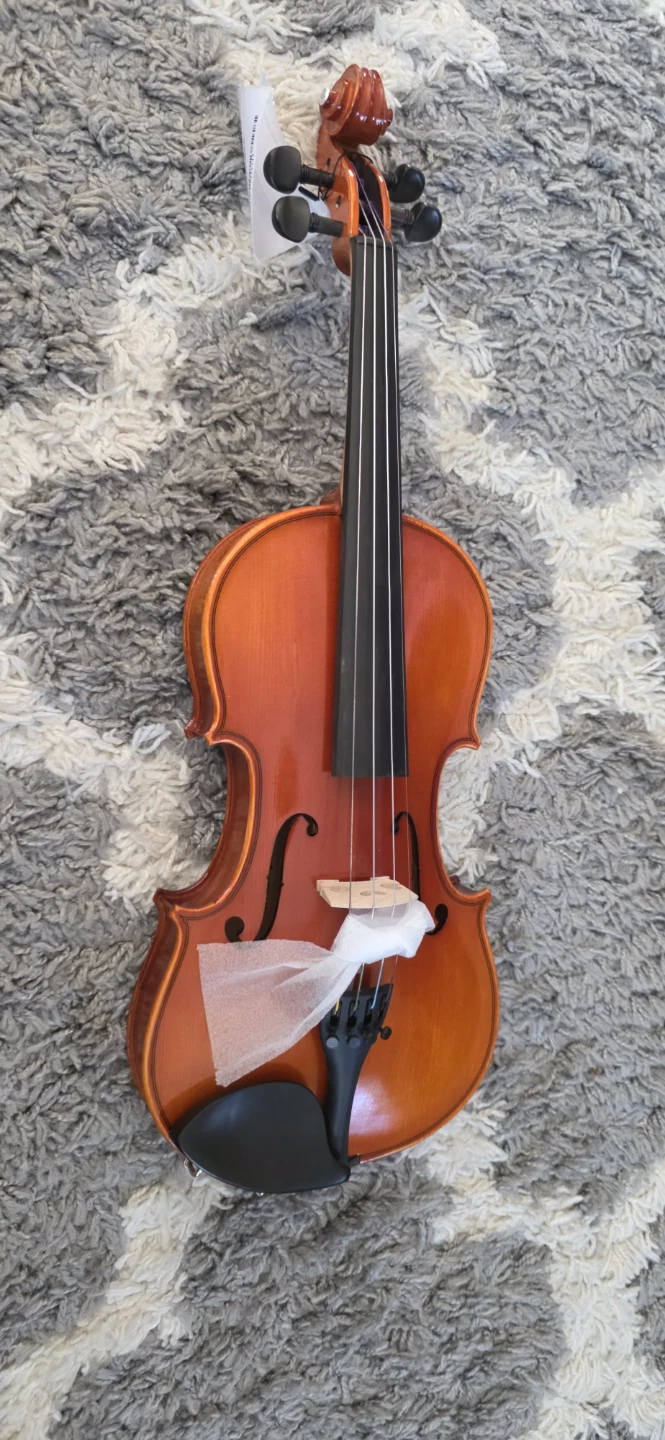 Eastman VL100 4/4 Violen with Case and Bow - photo 5