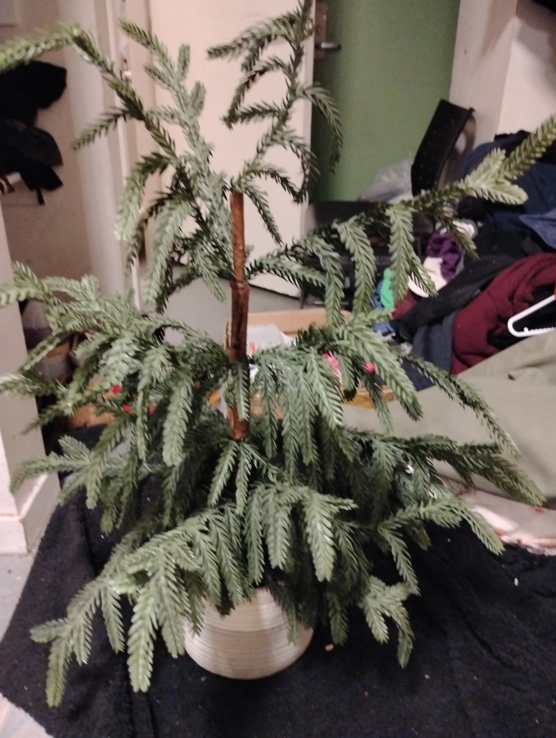Artificial Pine Tree in Pot