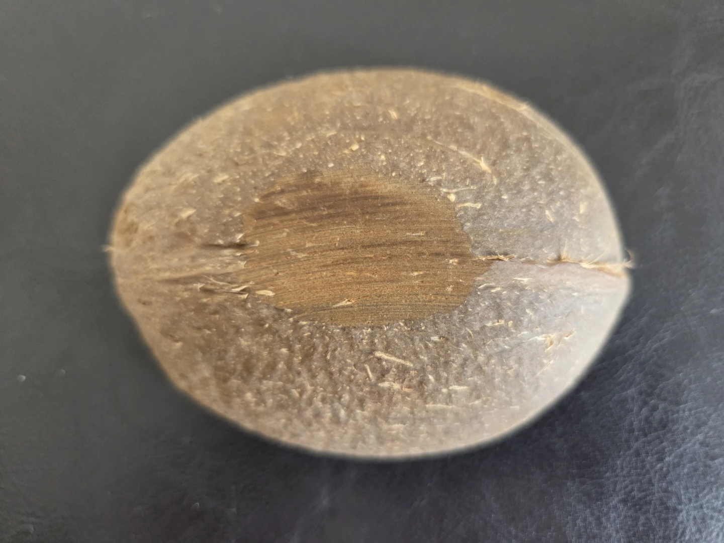 Coconut Bowl - photo 3