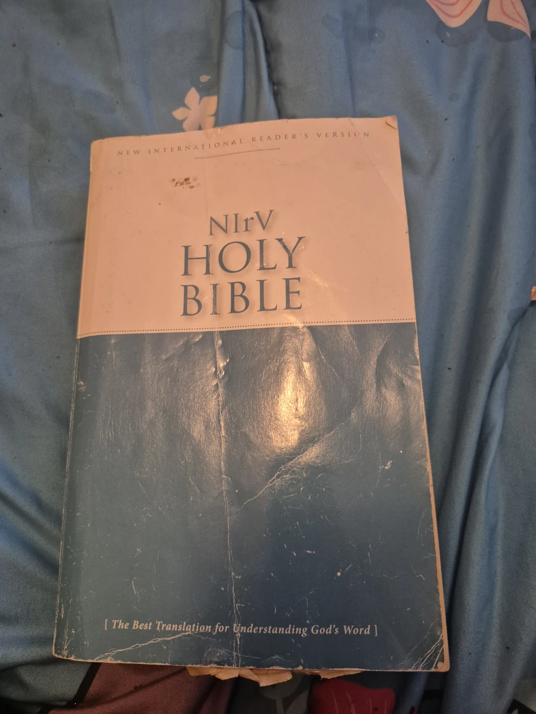 NIrV Holy Bible New International Reader's Version