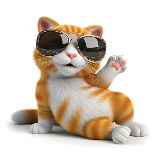 Funny Orange Cat with Sunglasses ⚽️
