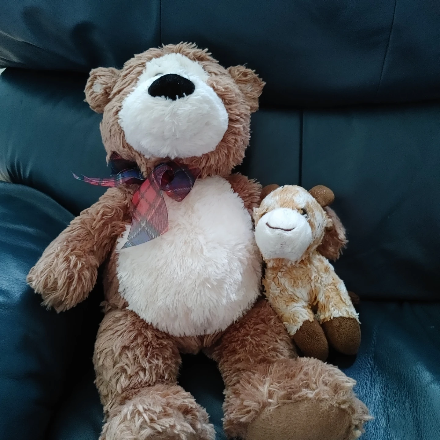 Brown Teddy Bear Plush with Giraffe Toy