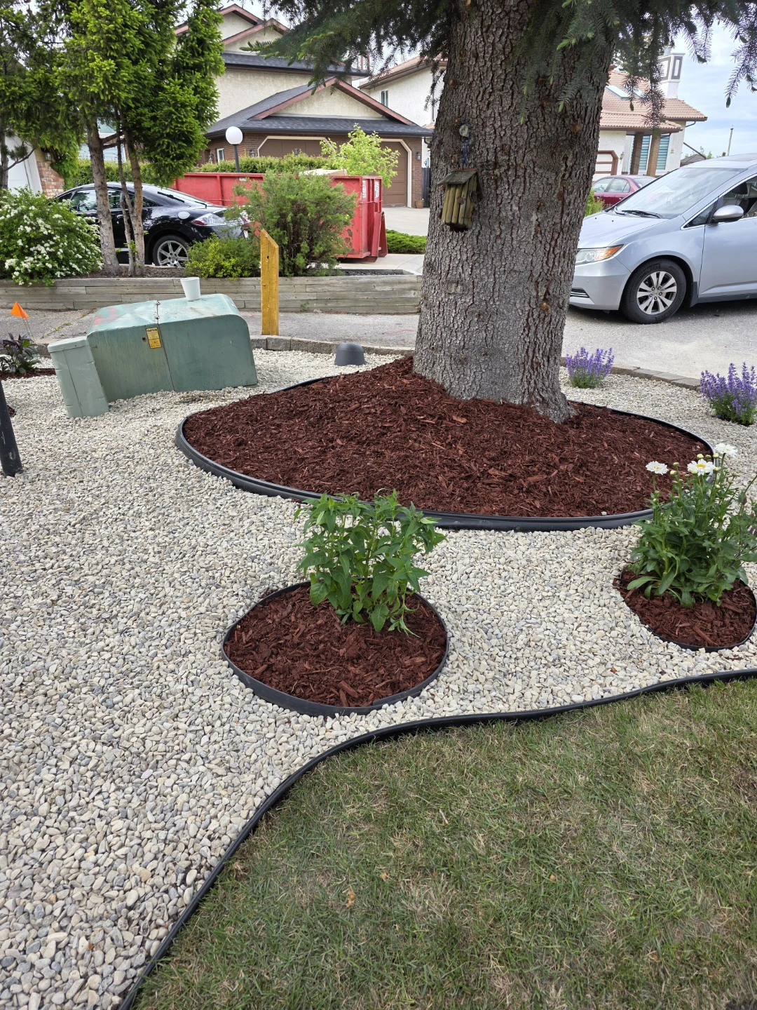 Landscaping Rocks and Plants - photo 2