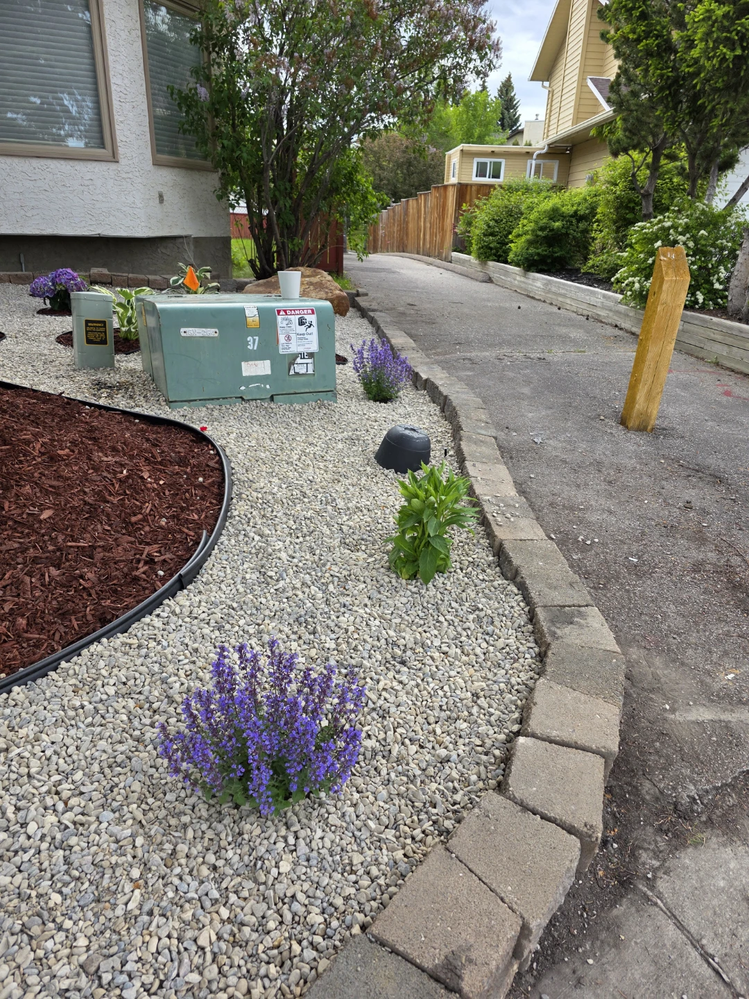 Landscaping Rocks and Plants - photo 3