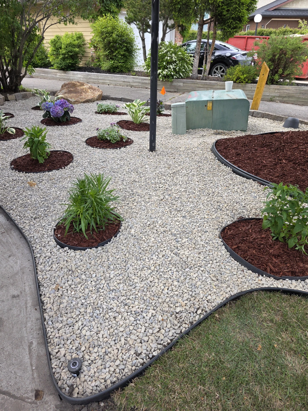 Landscaping Rocks and Plants - photo 5