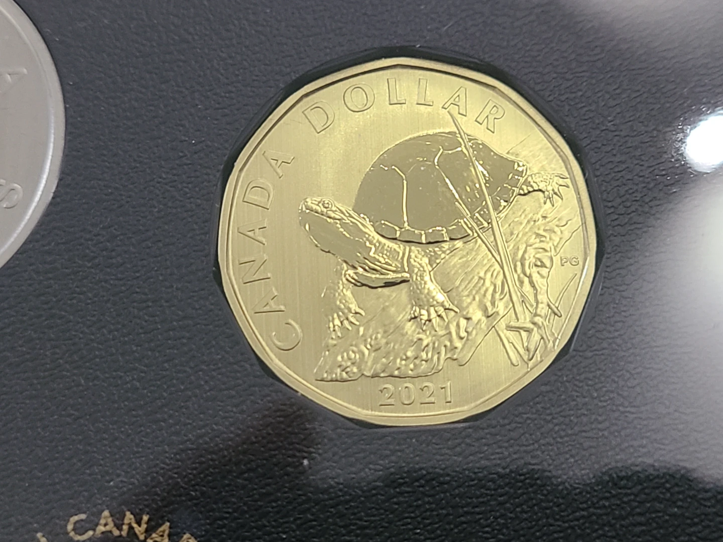 ⚽Canada 2021 One Dollar Coin - Turtle