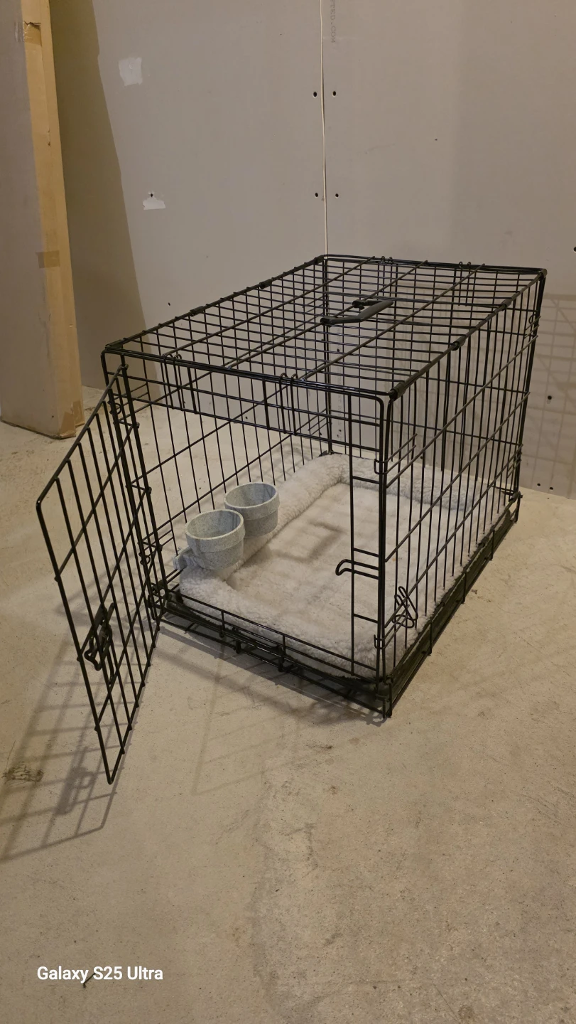 Wire Dog Crate with Plush Bed and Bowls