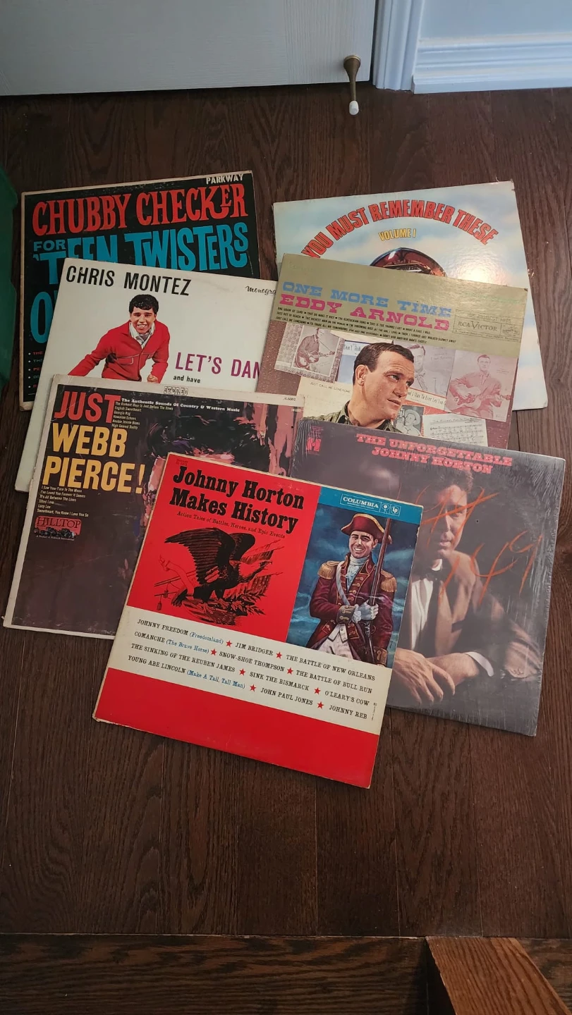 Collection of Vinyl Records - photo 4