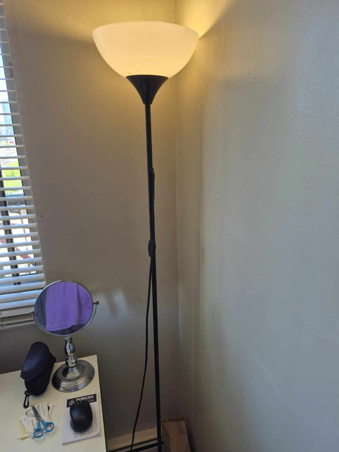Black Floor Lamp with White Frosted Shade