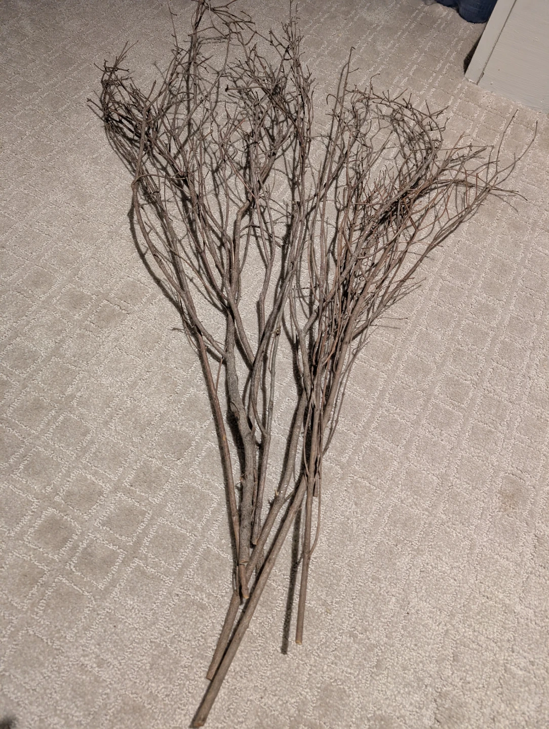 Bundle of Dried Branches