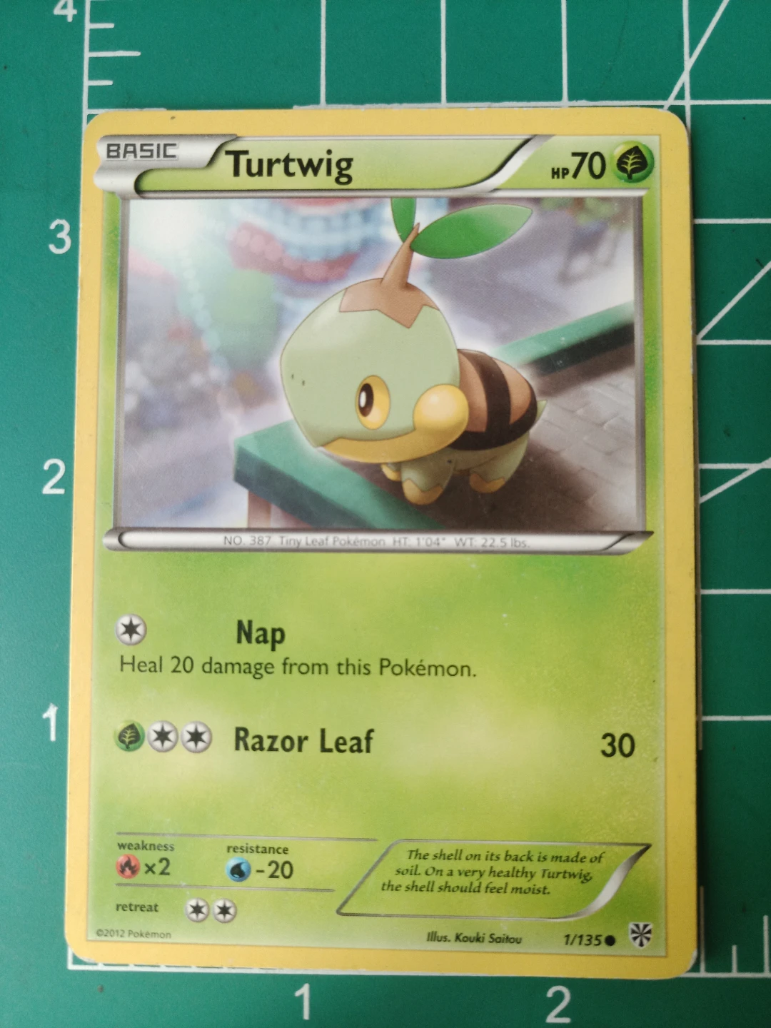 Pokemon Turtwig Trading Card