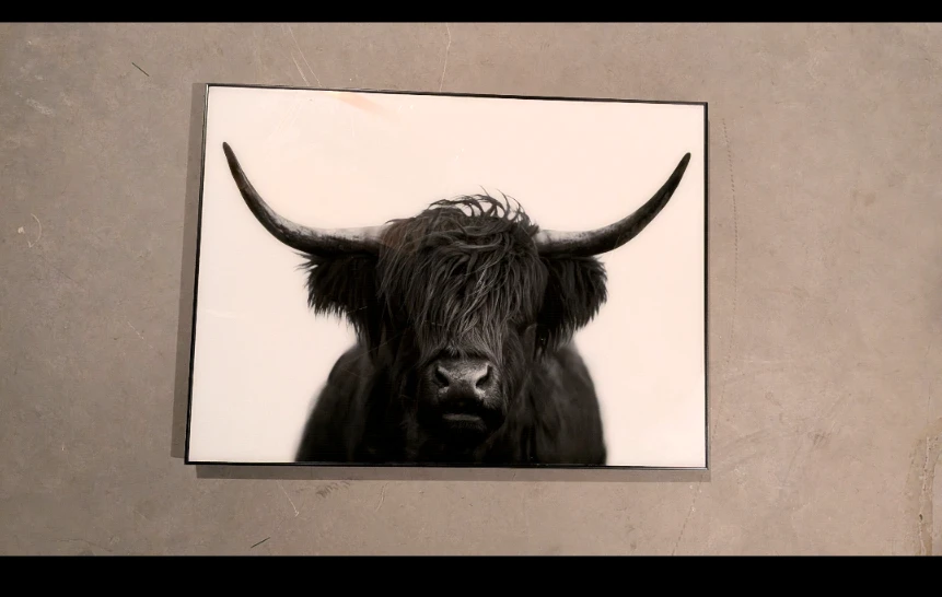 The Scottish Monarch Series Framed Highland Cow Print 21x33 - photo 2