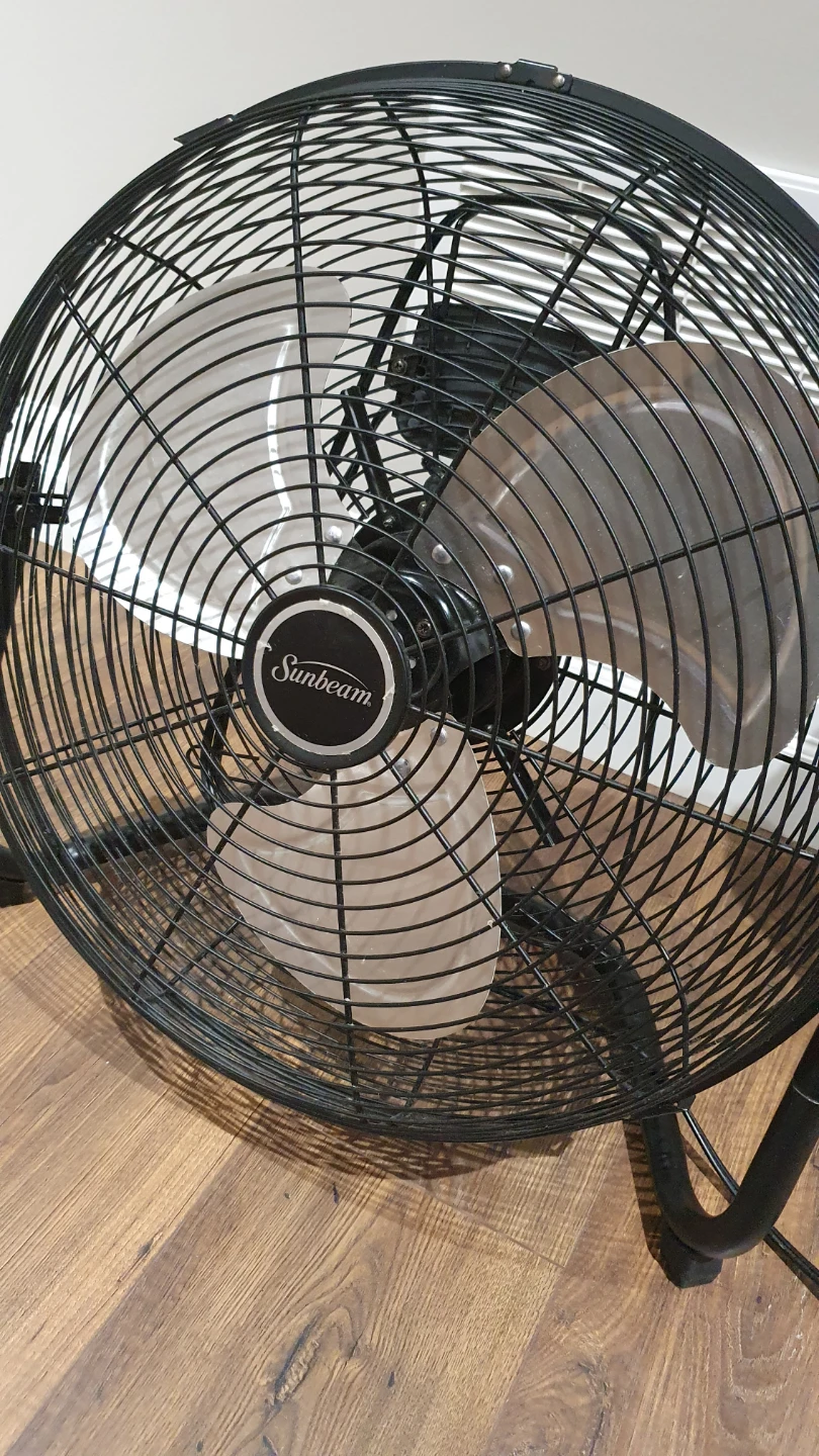 Sunbeam Black Floor Fan