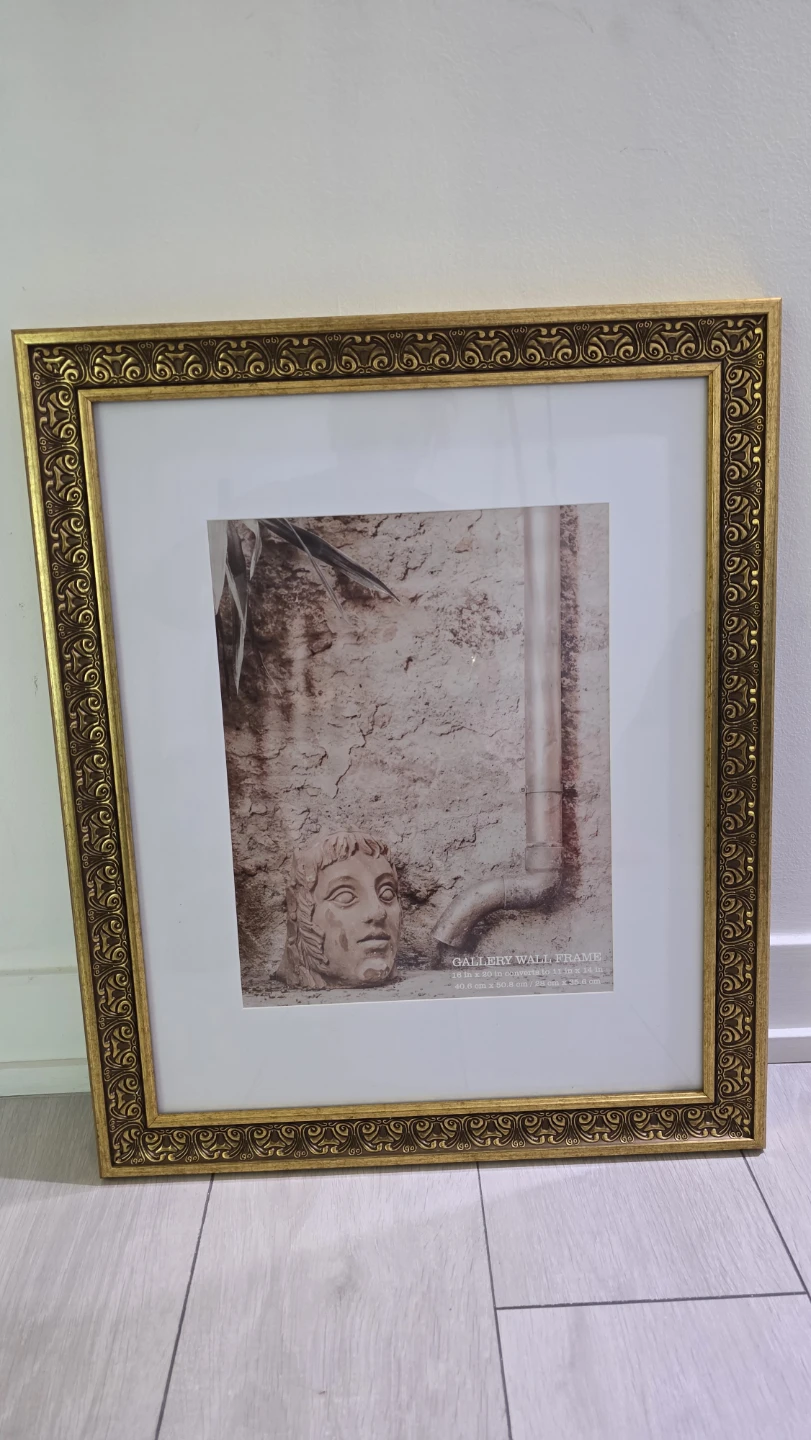 MOVING SALE- Ornate Gold Gallery Wall Frame