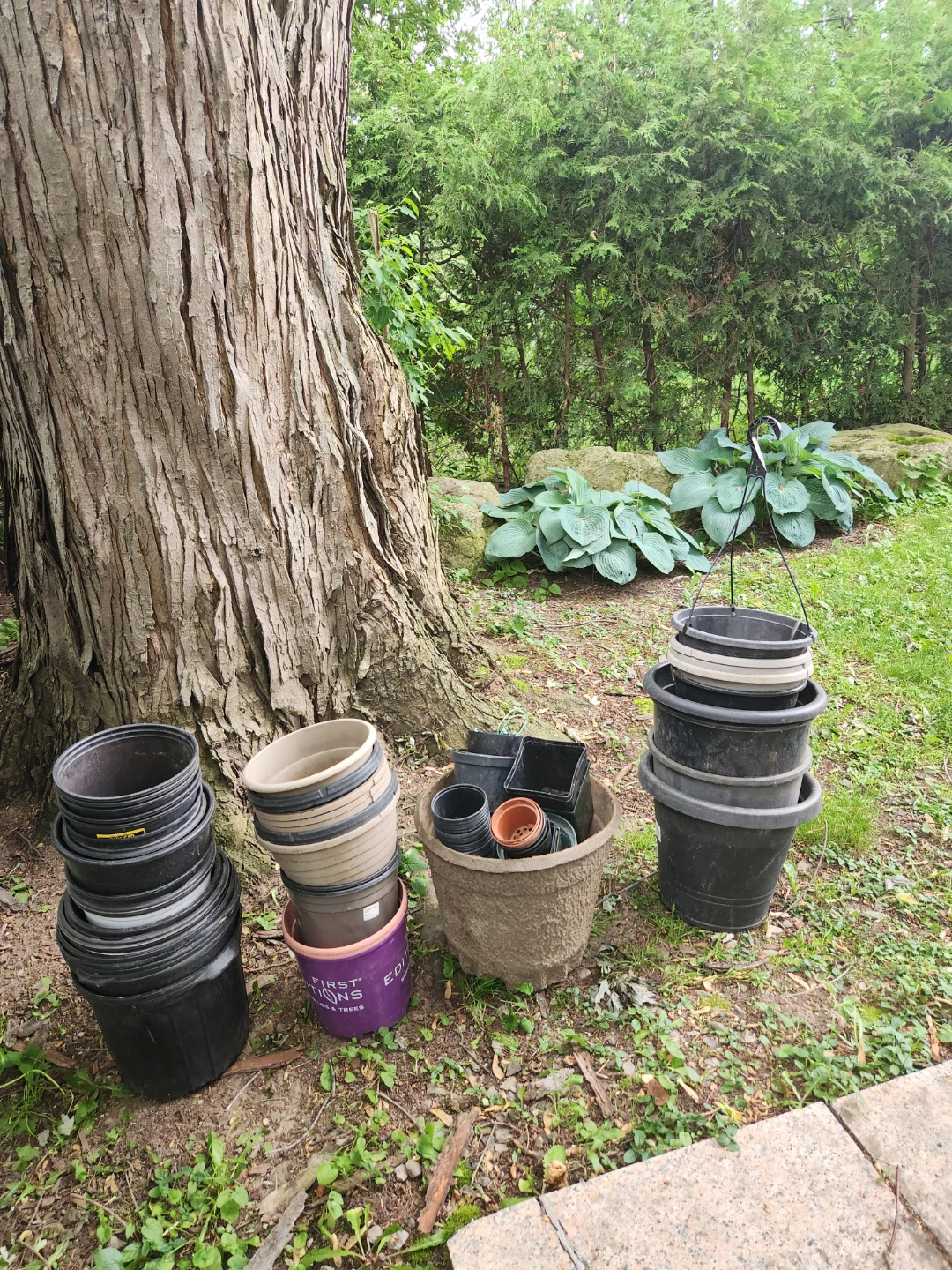 Assorted Plant Pots 115 pieces - photo 4