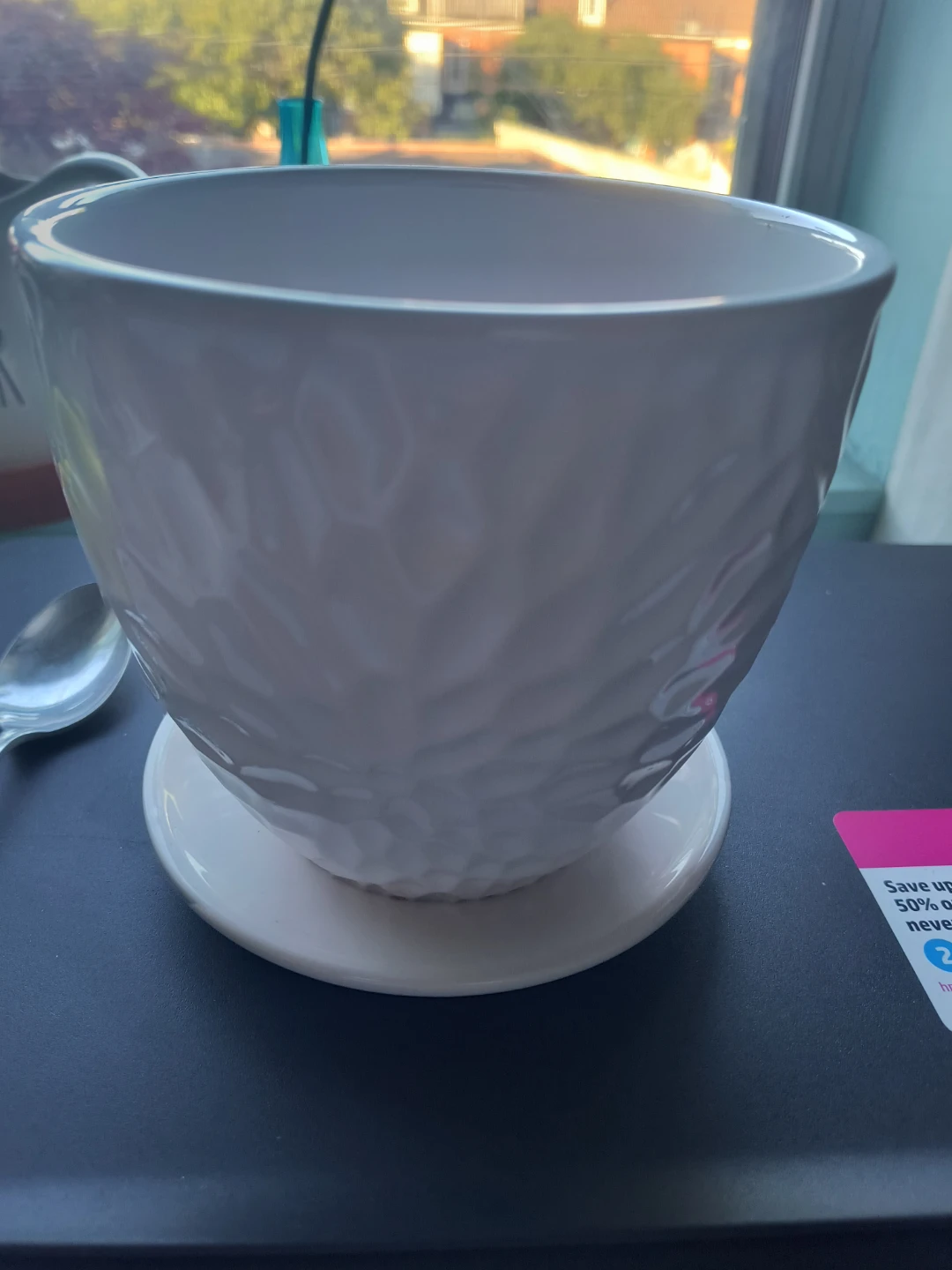 Plant It White Ceramic Planter with Saucer