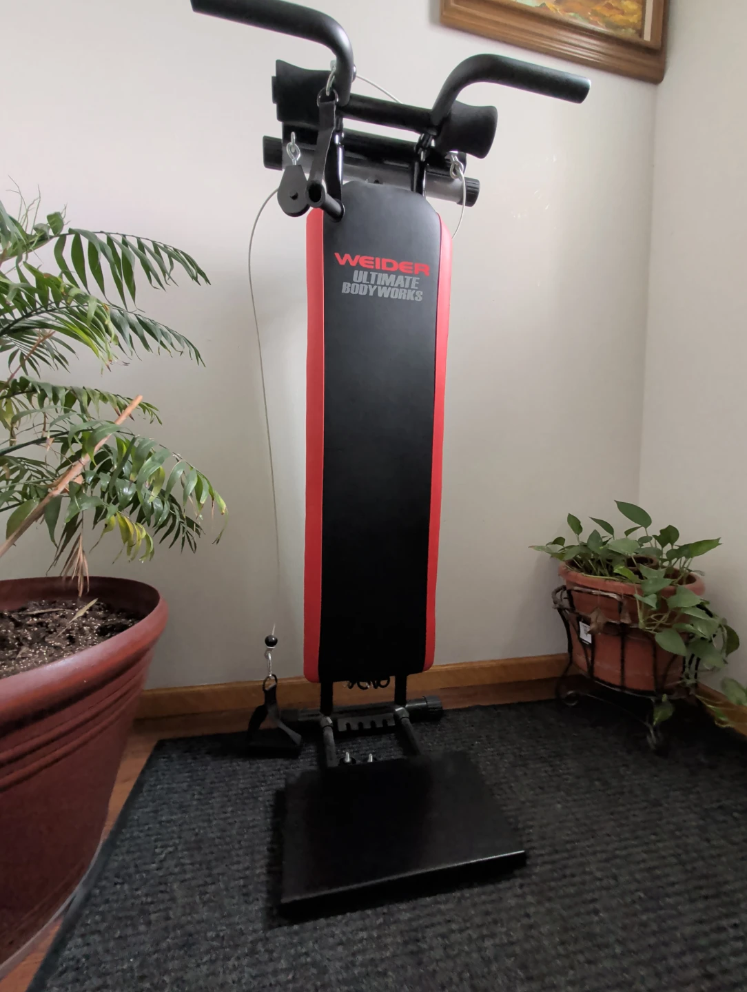 Weider Ultimate Body Works Home Gym