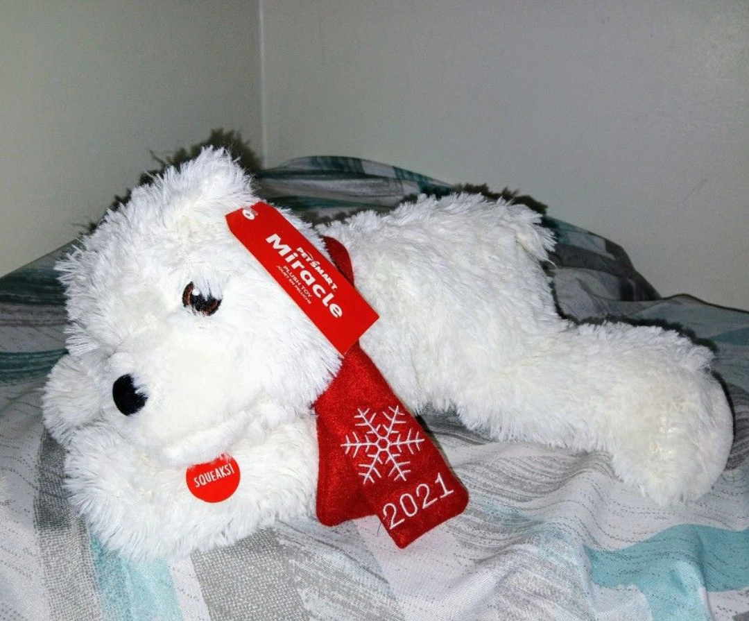 PetSmart Miracle Plush Dog Toy 2021 ⚽