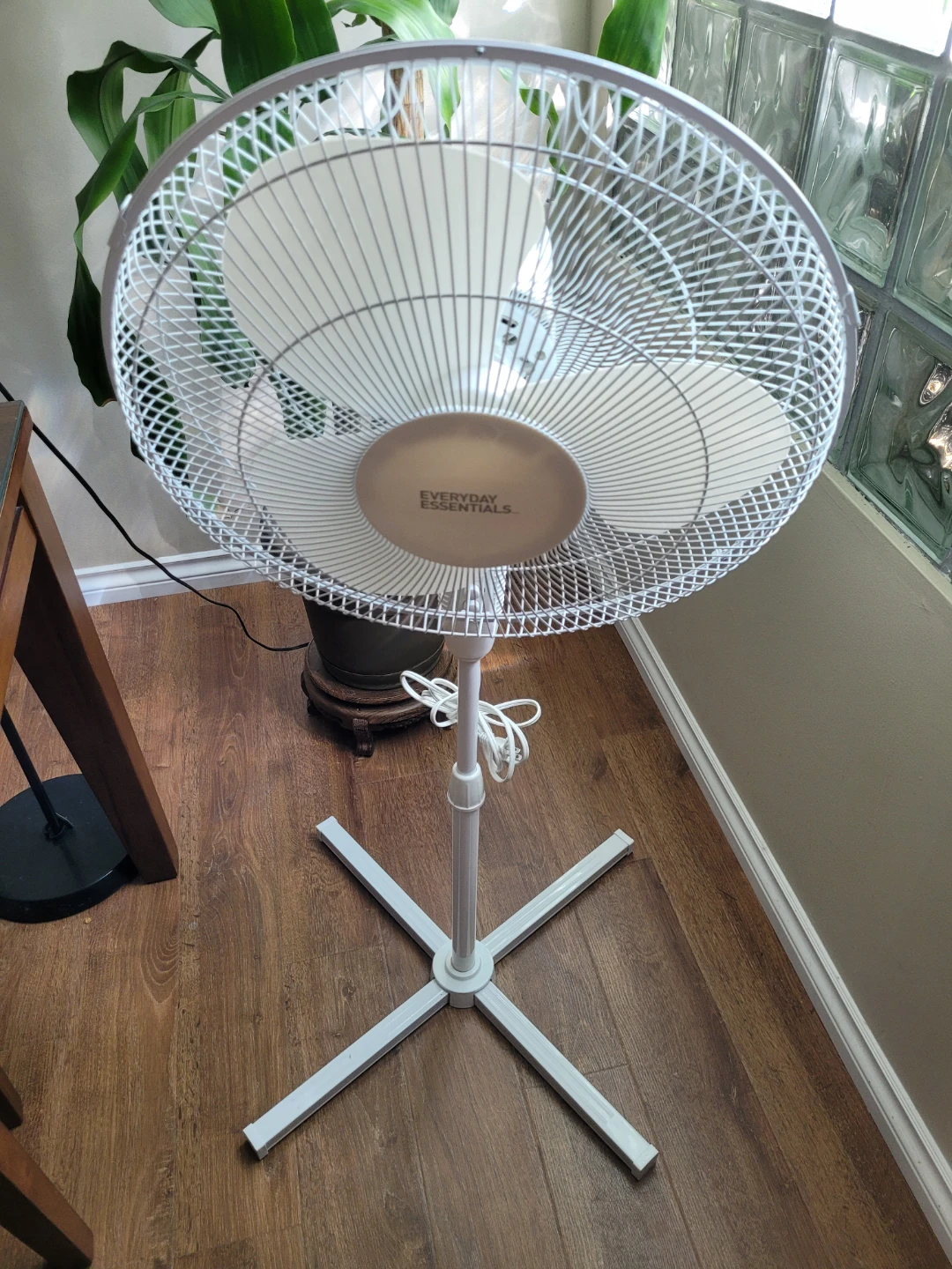 Fans - photo 2