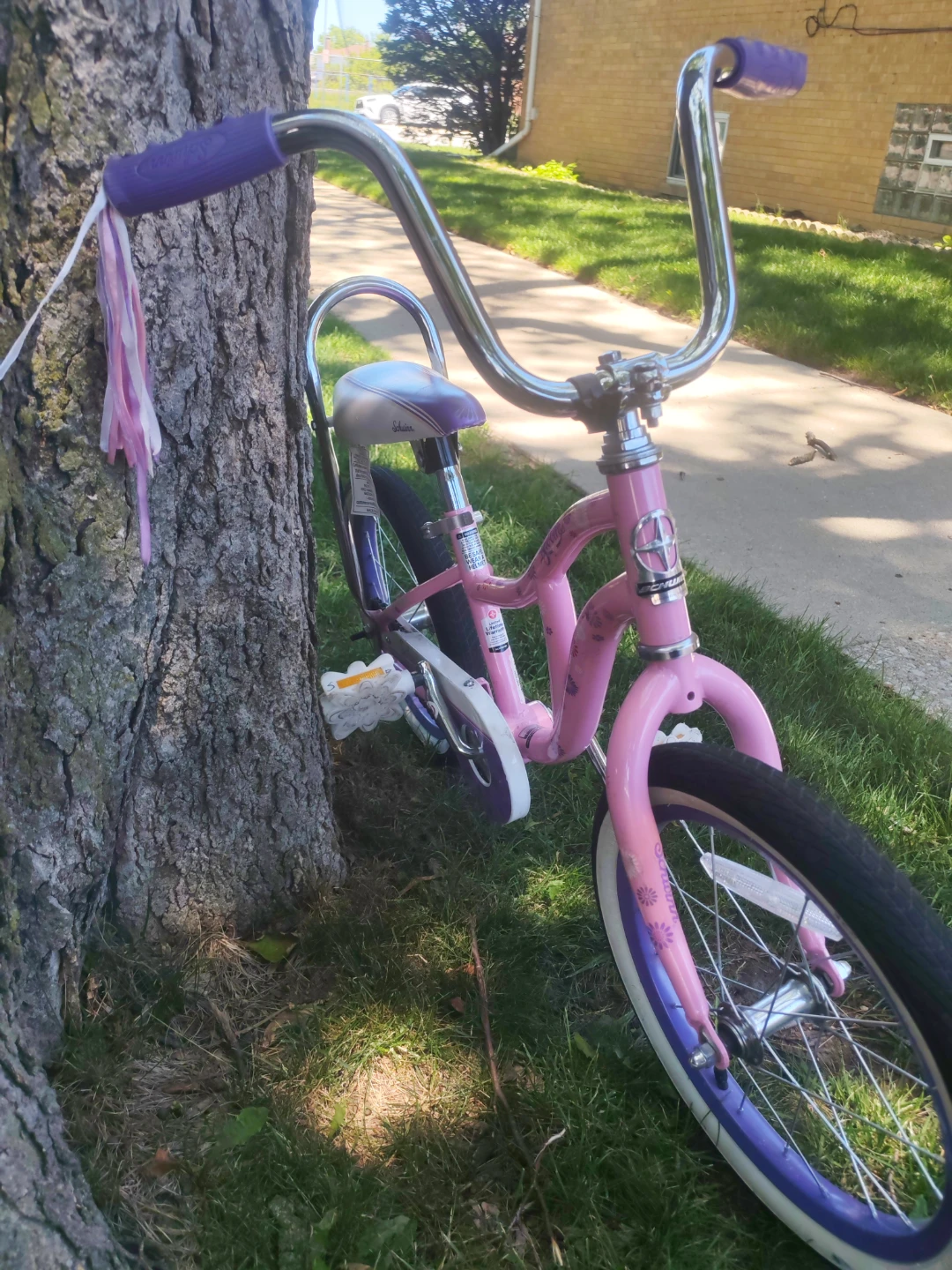 Girls Bicycle - photo 2
