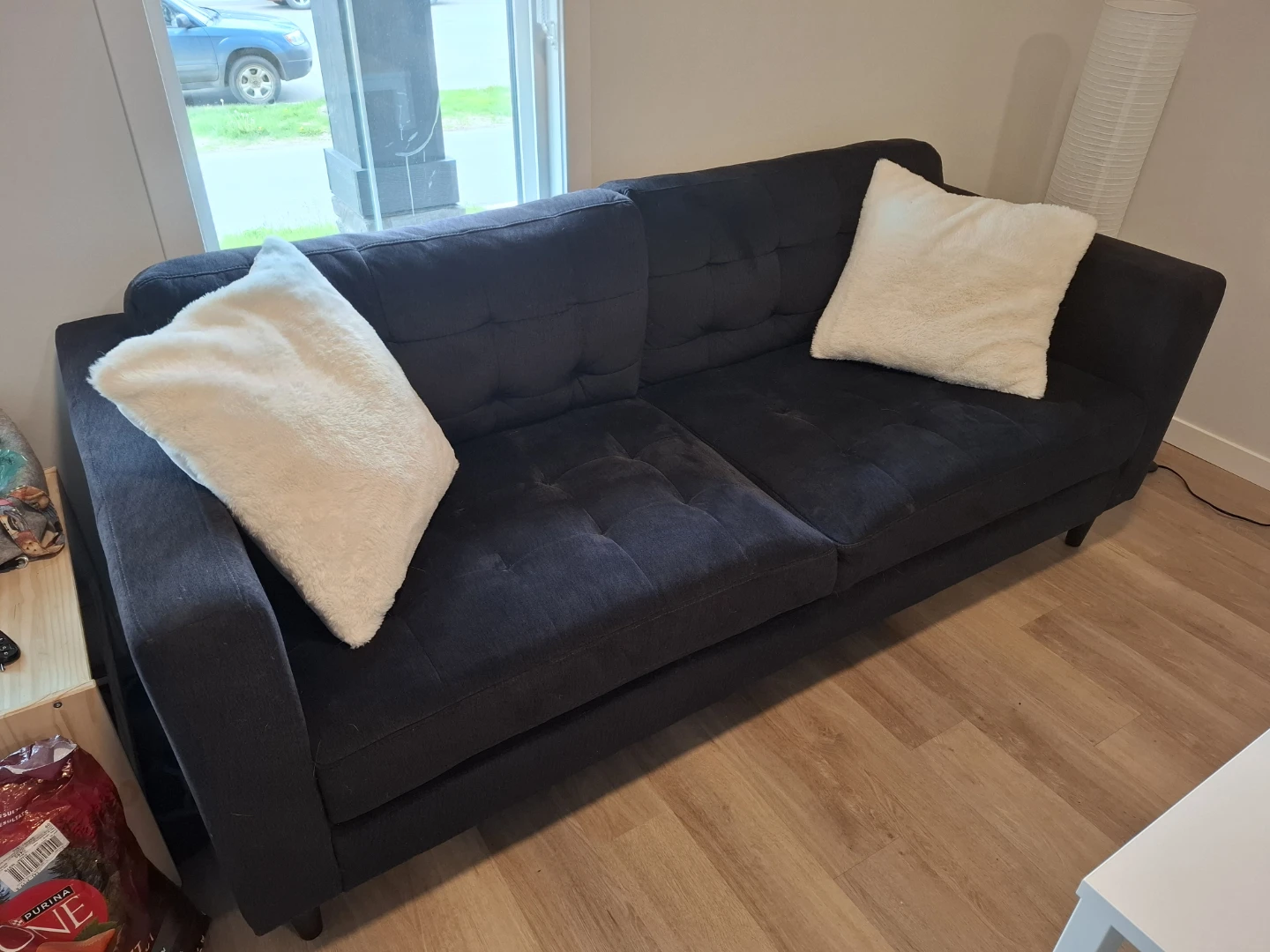Dark Grey Couch