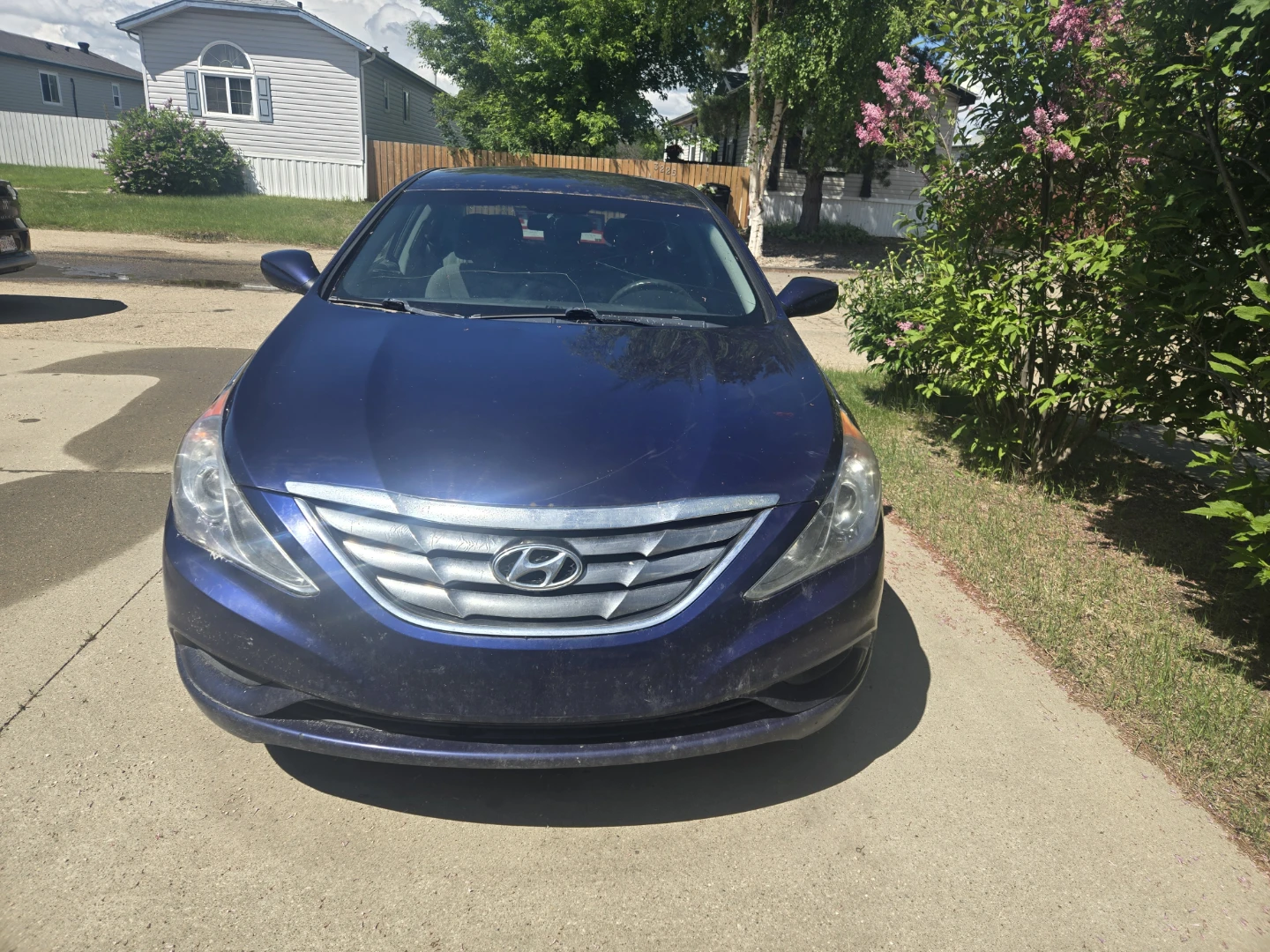 Blue Hyundai Sonata Sedan - photo 2