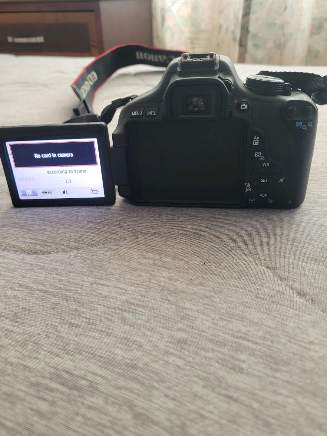 Canon EOS Digital Rebel T3i Camera - photo 3