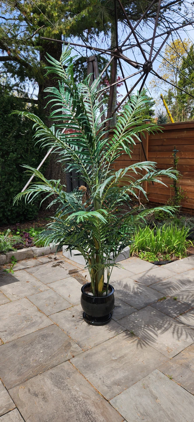 Artificial Areca Palm Plant smoke free no pets - photo 2