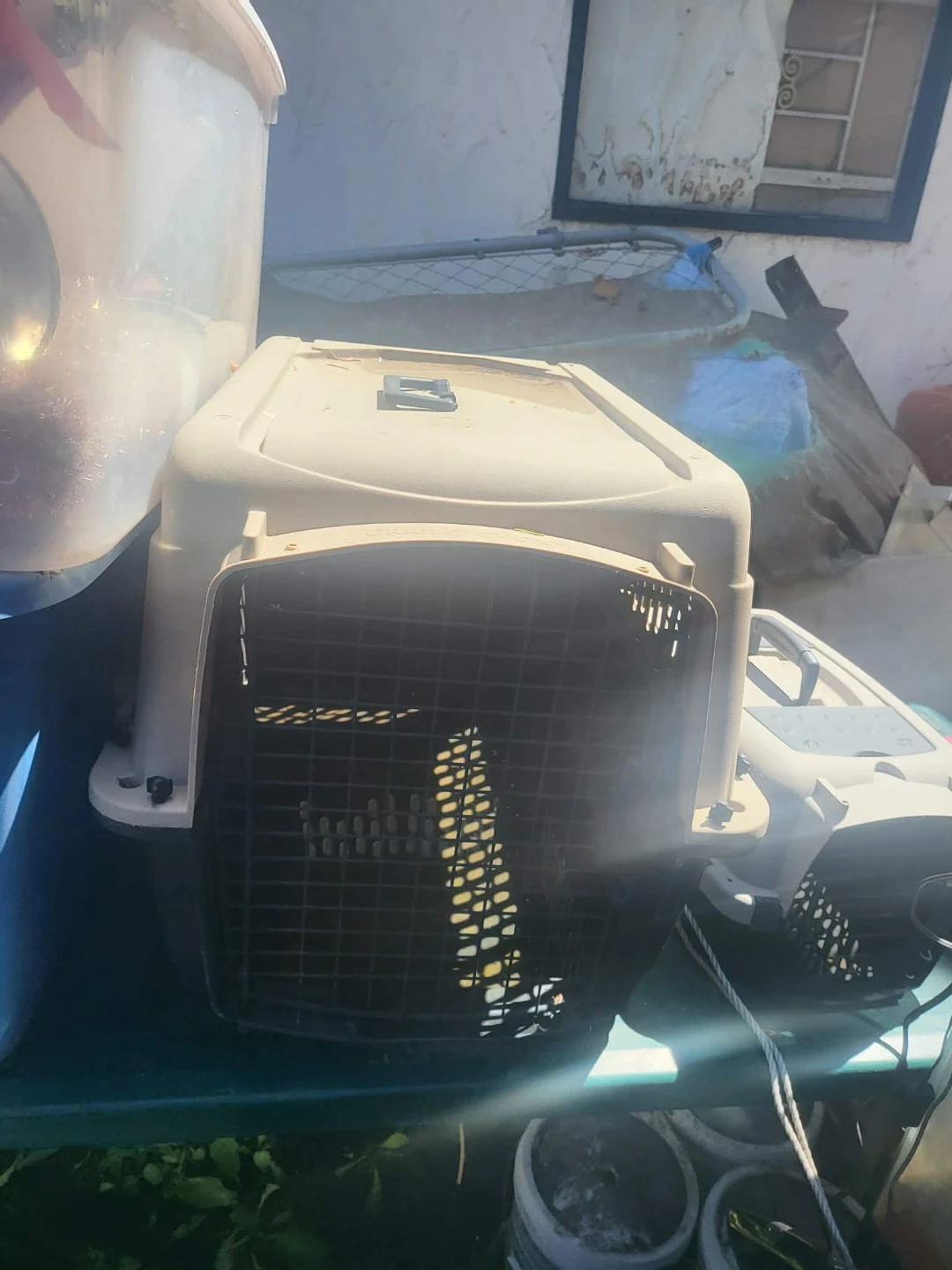 Pet Carrier Crate