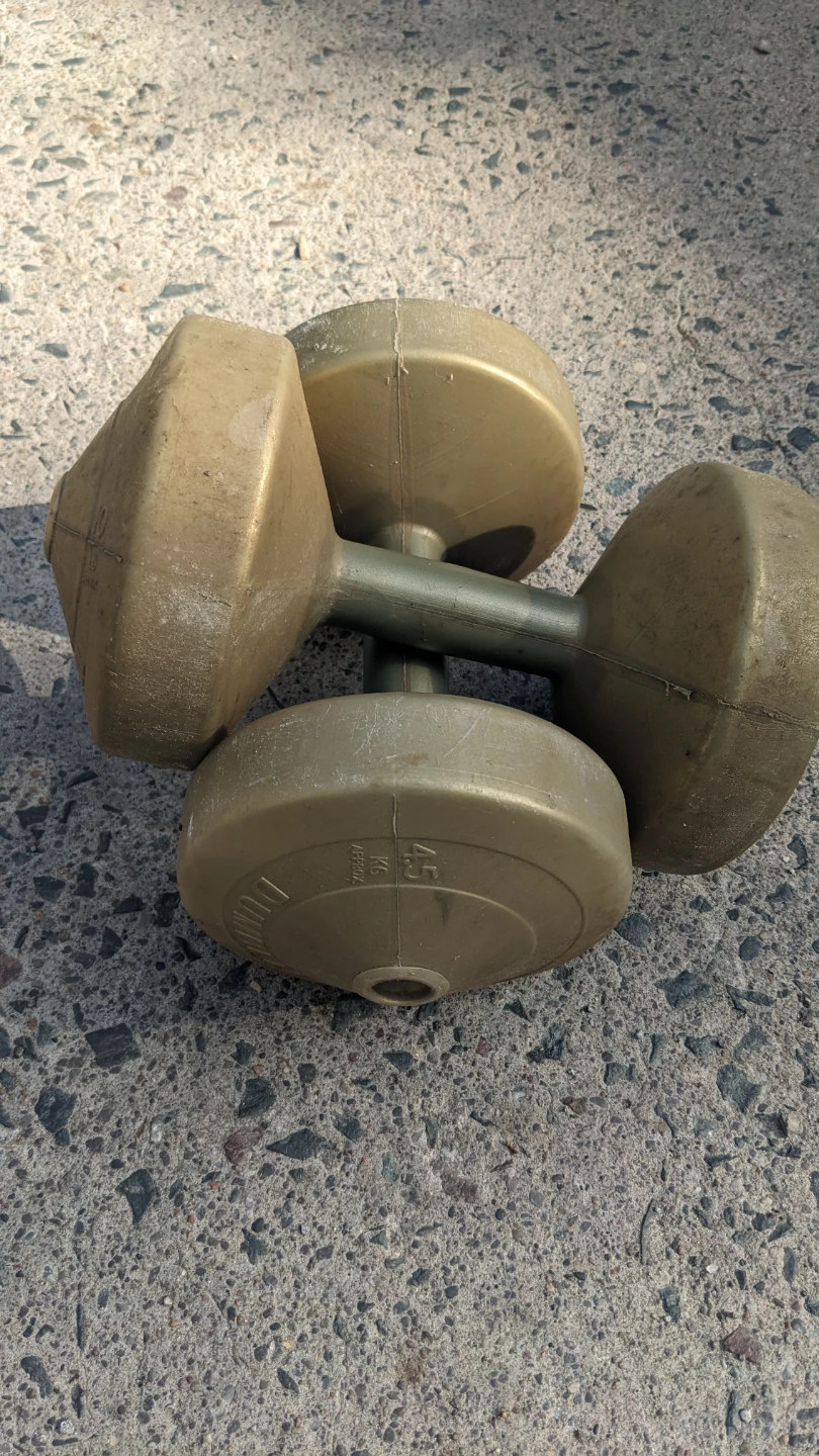 Gold Dumbbells 10 lbs (4.5 kg pair)