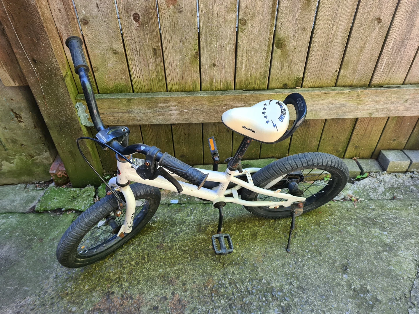 RoyalBaby Kids Bike