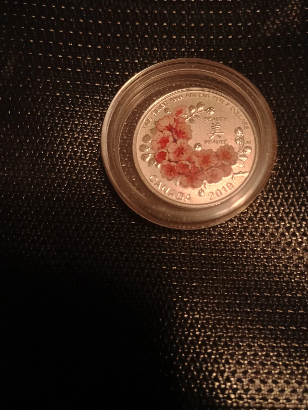 2019 Canada Fine Silver Dollar Coin - photo 2