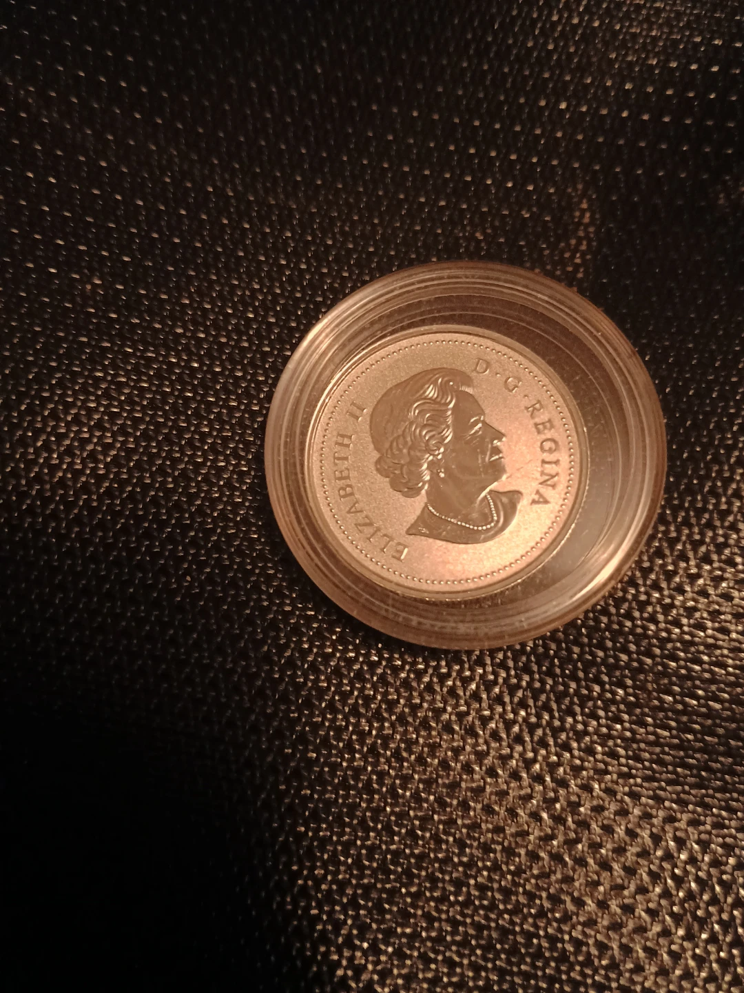 2019 Canada Fine Silver Dollar Coin - photo 3