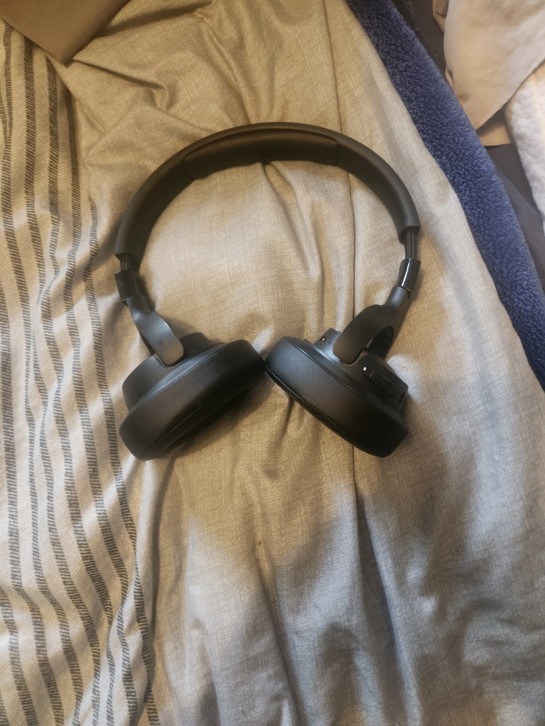 JBL Headphones