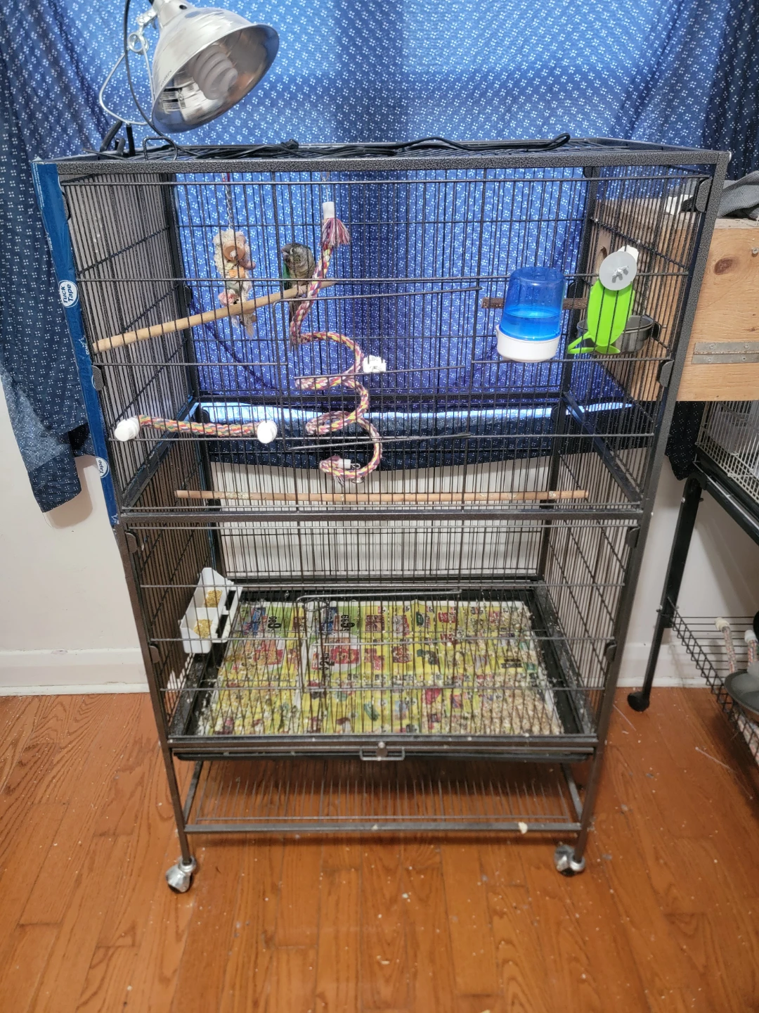 Bird cage size is 30"×20" ×53