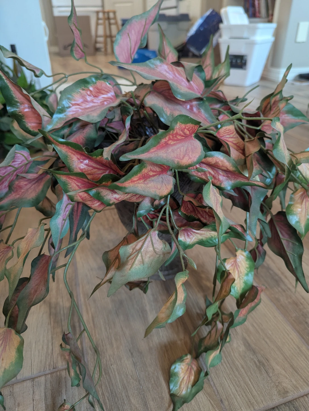 Artificial Plant in Decorative Pot