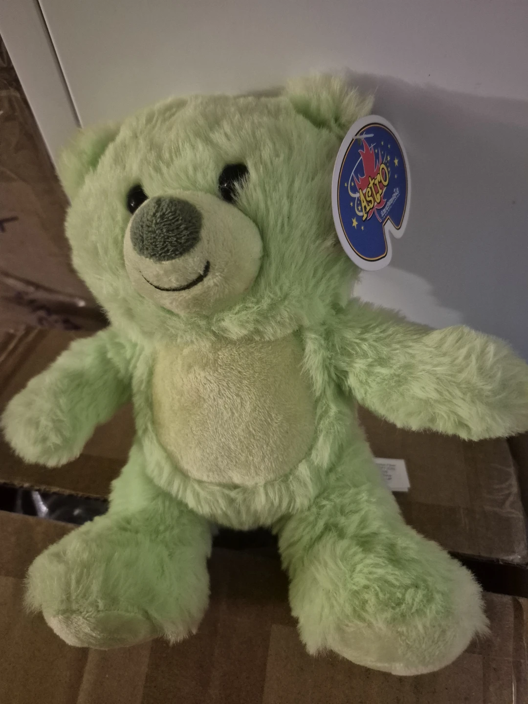 Astro Plush Bear Toy