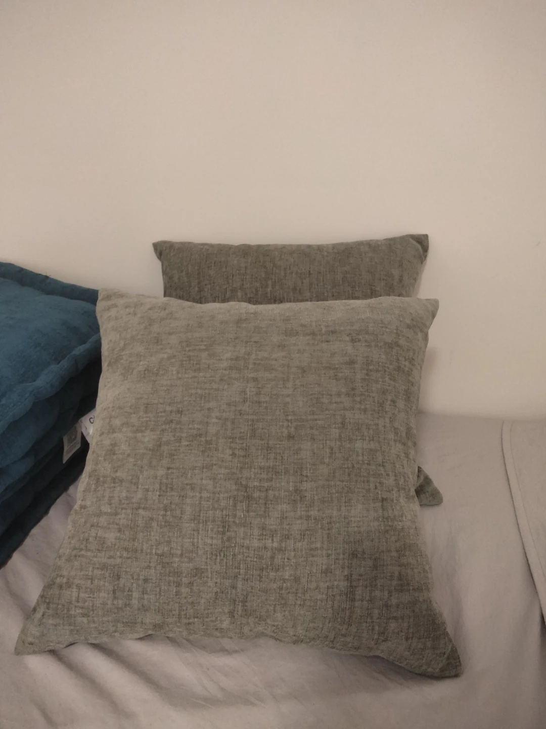 2 Throw pillow inserts and cover