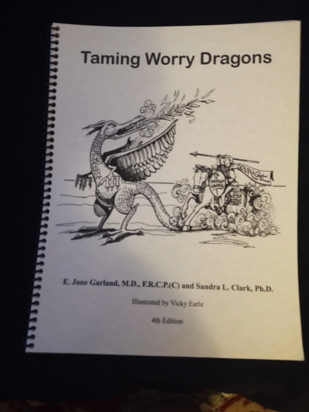 Taming Worry Dragons 4th Edition Book