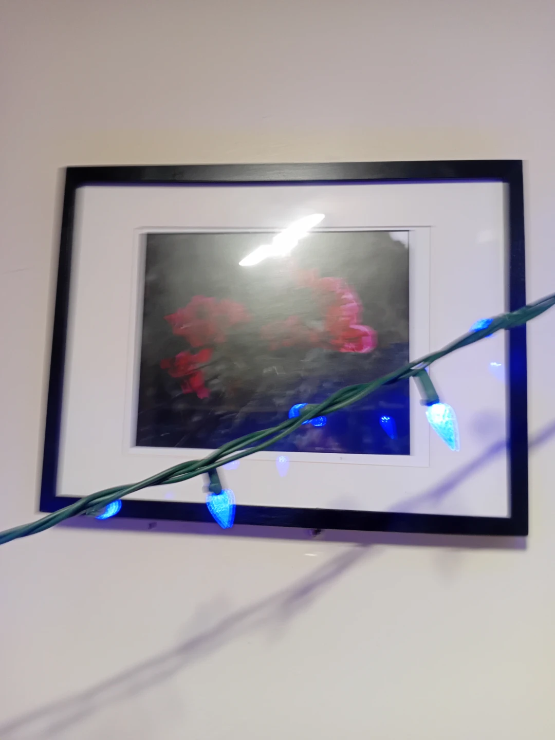Framed Floral Art Print