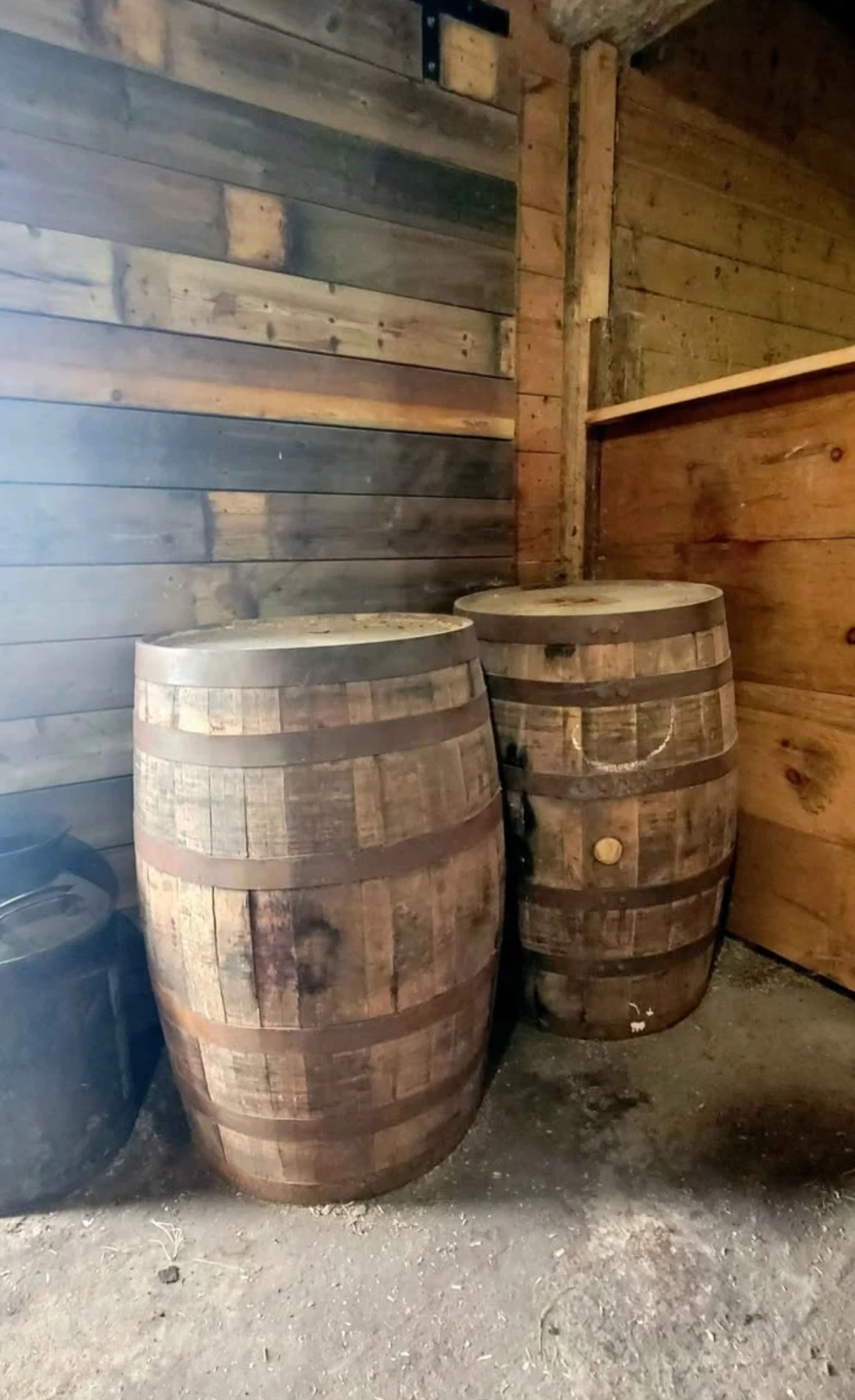 Large Whiskey Barrels